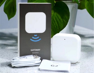 Gateway BG-G2/2 trådløs, bluetooth m/strøm adapter